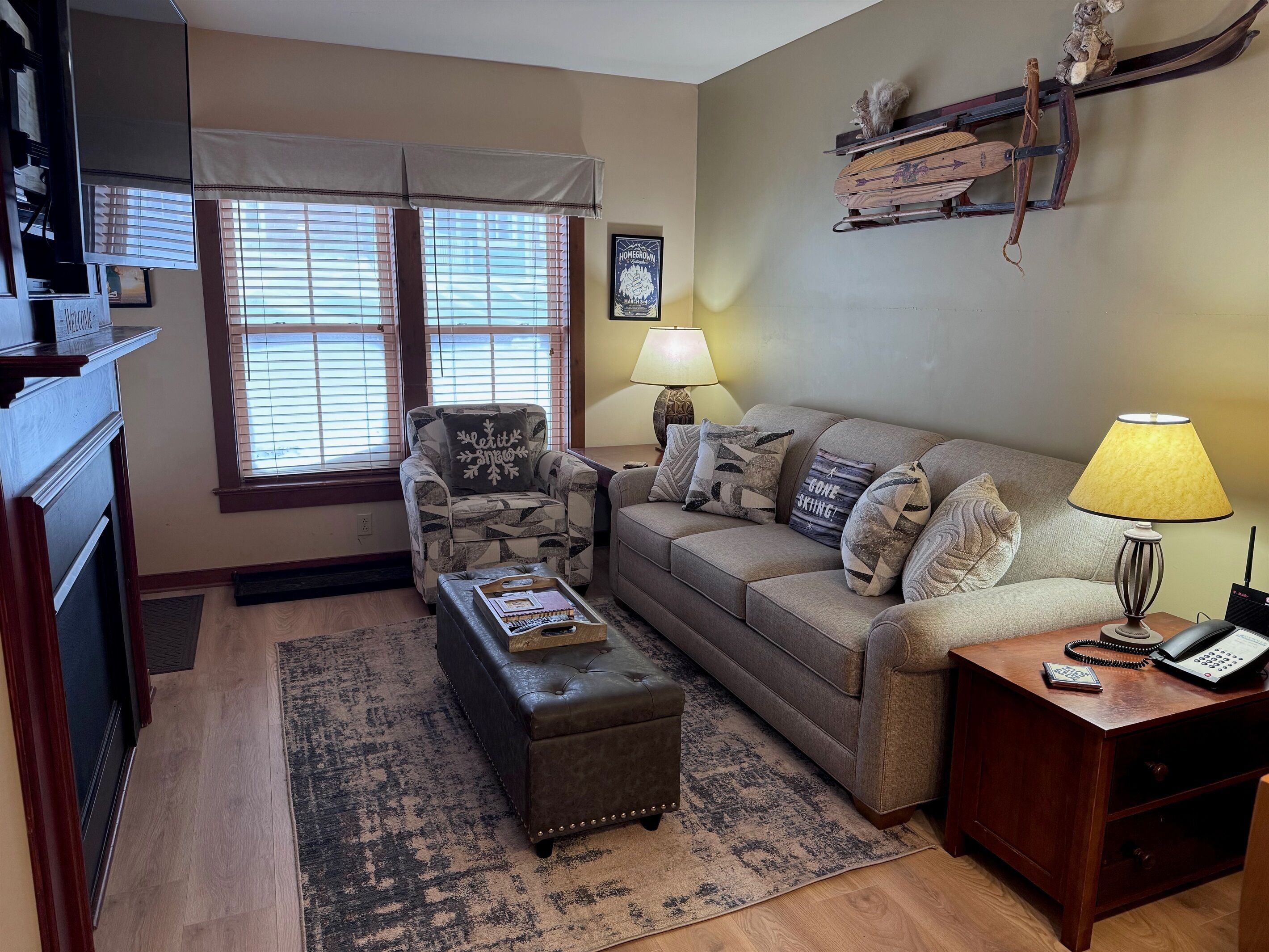 スマートテレビ、暖炉、DVD プレーヤー、書庫