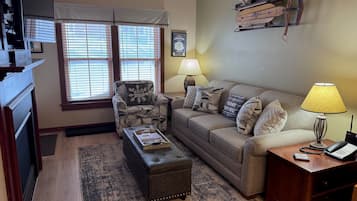 Smart TV, fireplace, DVD player, books