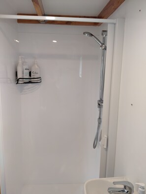 Bathroom features a glass shower enclosure, a sink with a handheld showerhead and soap dispenser, and a shelf for toiletries.
