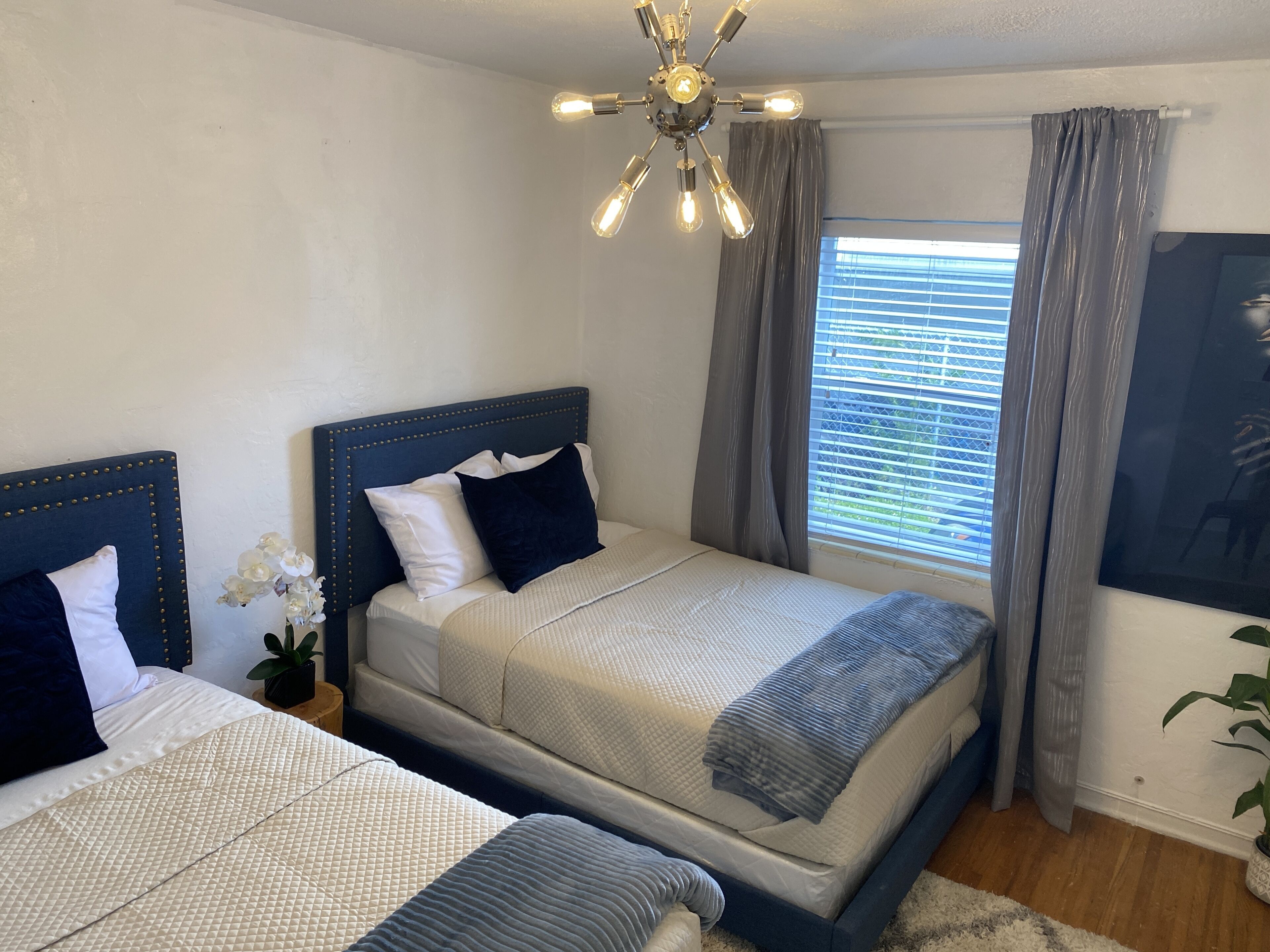 A bedroom with two beds, a ceiling fan, a window with curtains, and a plant.
