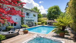 Une piscine avec un jacuzzi, entourée d’une terrasse en bois et agrémentée de plantes en pot.