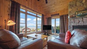 Smart TV, fireplace, books