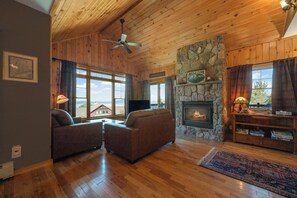 Smart TV, fireplace, books