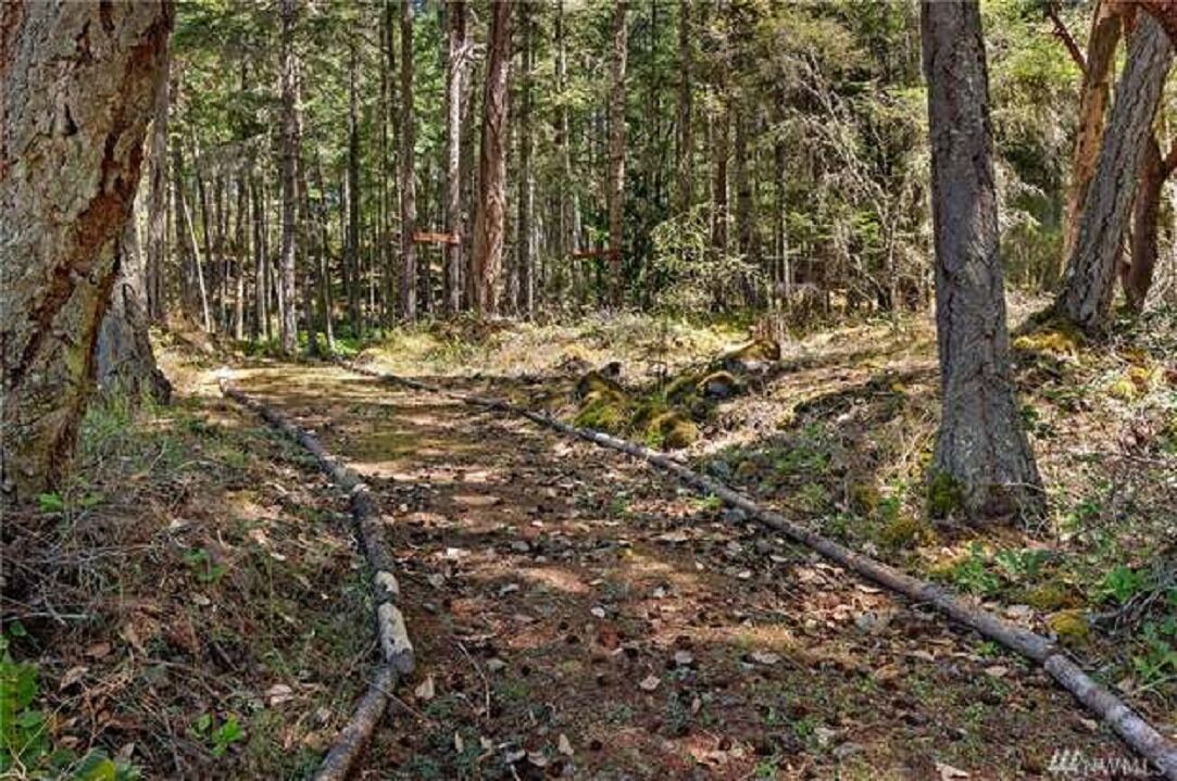 Wander along the trails through the property.