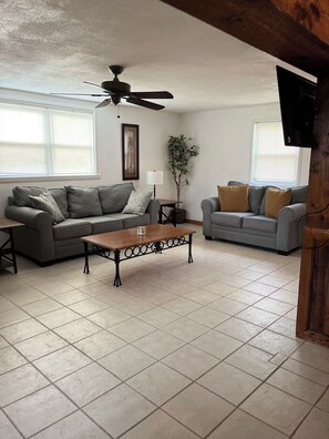 TV connectée, cheminée, lecteur de DVD