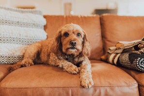 Interior - *Tallows Oasis -2-bed, 1min to beach, dogs welcome (Suffolk Park)