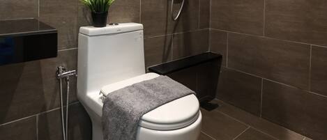 Un baño moderno con ducha, inodoro y una pequeña planta en maceta.