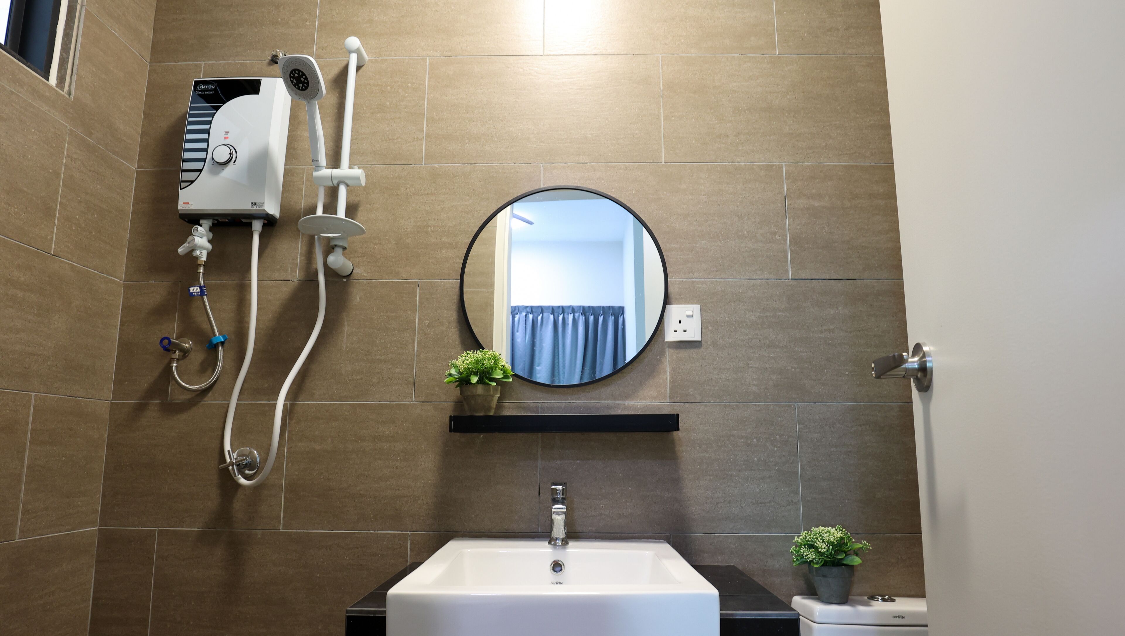 A bathroom with a white sink, a mirror, a shower head, and a small potted plant.