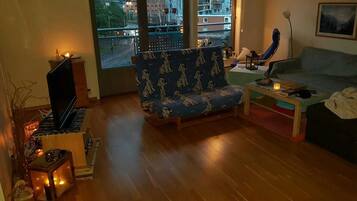 TV, DVD player, books