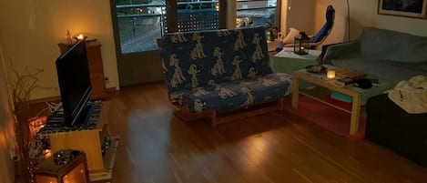 TV, DVD player, books