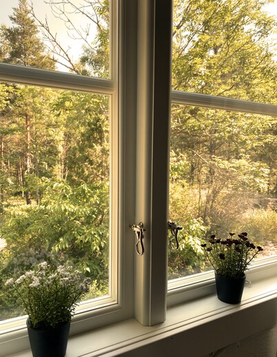 Vacation home Grimsebo in an idyllic secluded location - pure nature!