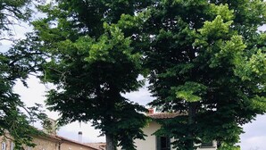 Una casa de dos pisos con un jardín delantero, un patio con mobiliario exterior y un gran árbol que da sombra.