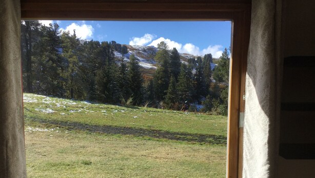 Ein Fenster mit Blick auf ein grasbewachsenes Feld und Bäume, mit Holzrahmen und Vorhängen.