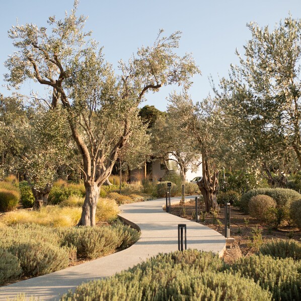 A paved pathway winding through a landscaped area with mature trees and shrubs.