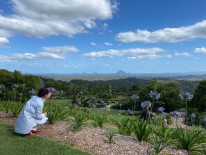 Property grounds - Maleny Monet’s Studio (Maleny)