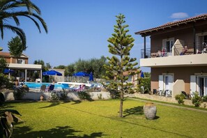 Exterior - Olive Grove (Kefalonia)