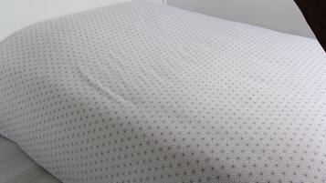 1 chambre, fer et planche Ă repasser, Wi-Fi, draps fournis