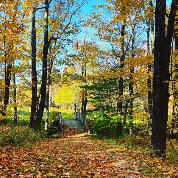 Un sentier qui traverse une forêt aux feuilles d’automne, avec un pont en bois.