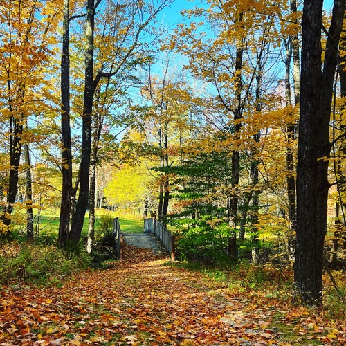Summer Escape Near Lakes, Trails & Mt Snow