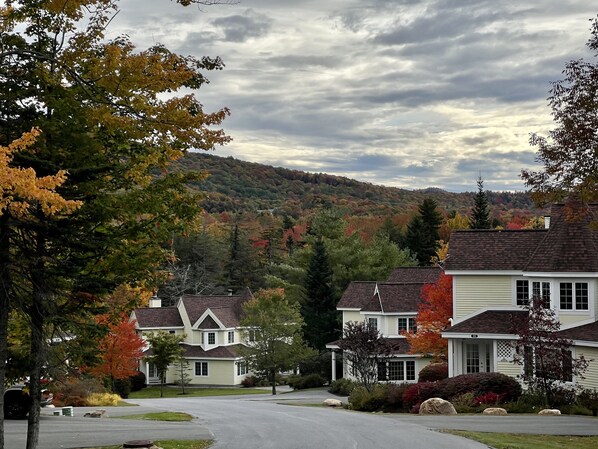 Un quartier résidentiel avec des maisons, une allée et un paysage vallonné en arrière-plan.