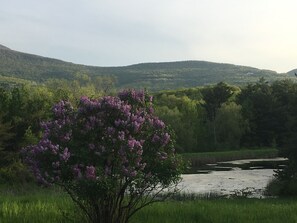 Property grounds - Total Seclusion with an awesome view! (Cornwallville)