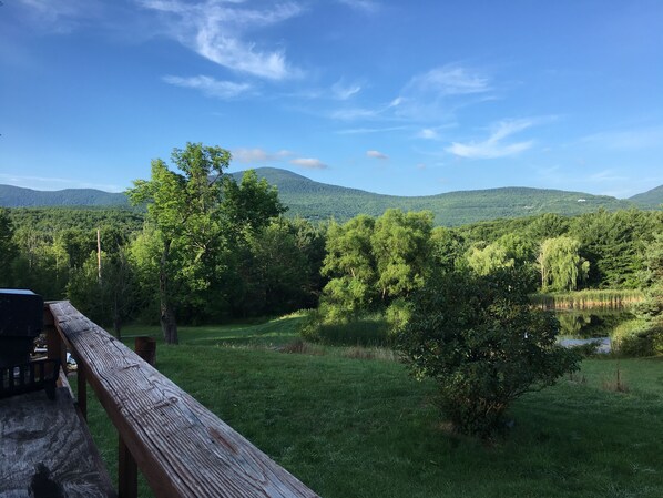 Property grounds - Total Seclusion with an awesome view! (Cornwallville)