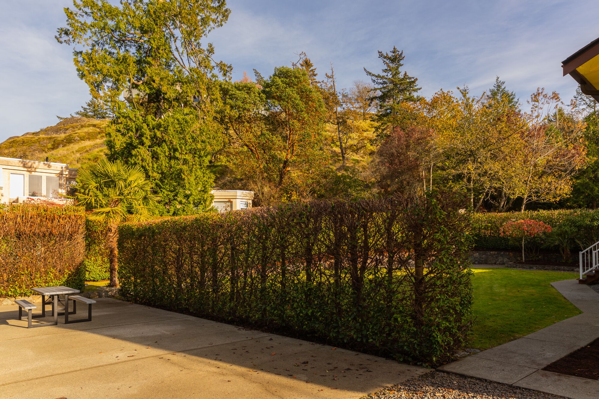 Spacious Home-Like Suite (Upper)