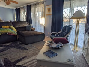 Smart TV, DVD player, books, video library