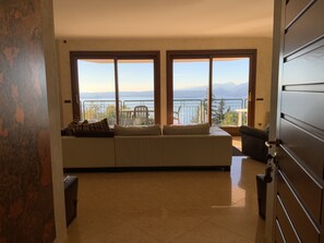 Televisión, videojuegos, reproductor de DVD y libros