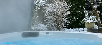 Experience Seattle Hot Tub Firepit Backyard BBQ EV2 King Bed
