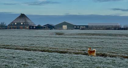 Geräumiges Ferienhaus in Bauernhaus, nur 2 km von Strand in Naturschutzgebiet.