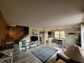 TV, DVD player, books, video library