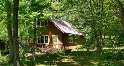 Little house in the woods but only 5 minutes from town!