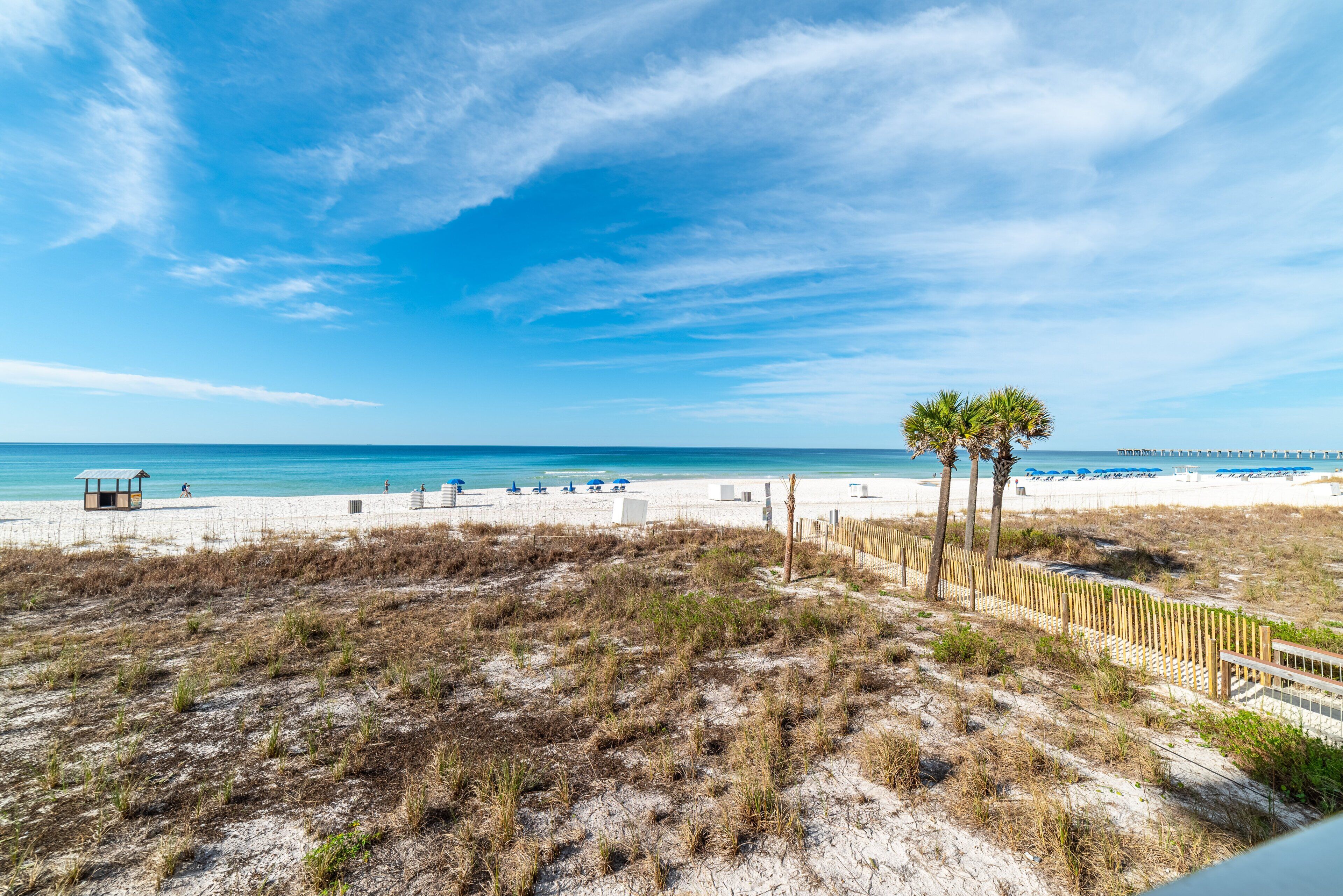A beach with sand, a few palm trees, and a clear sky.