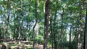 Una terraza de madera que da a un área boscosa con un sendero de grava y un banco.