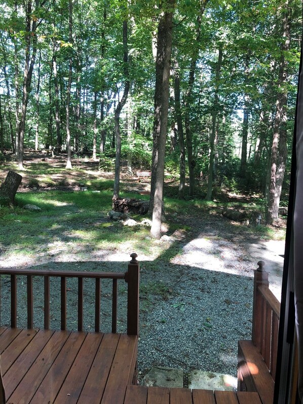 Una terraza de madera que da a un área boscosa con un sendero de grava y un banco.