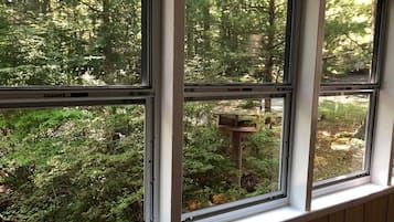 Ventana con vista a un follaje verde exuberante y un comedero para pájaros afuera.