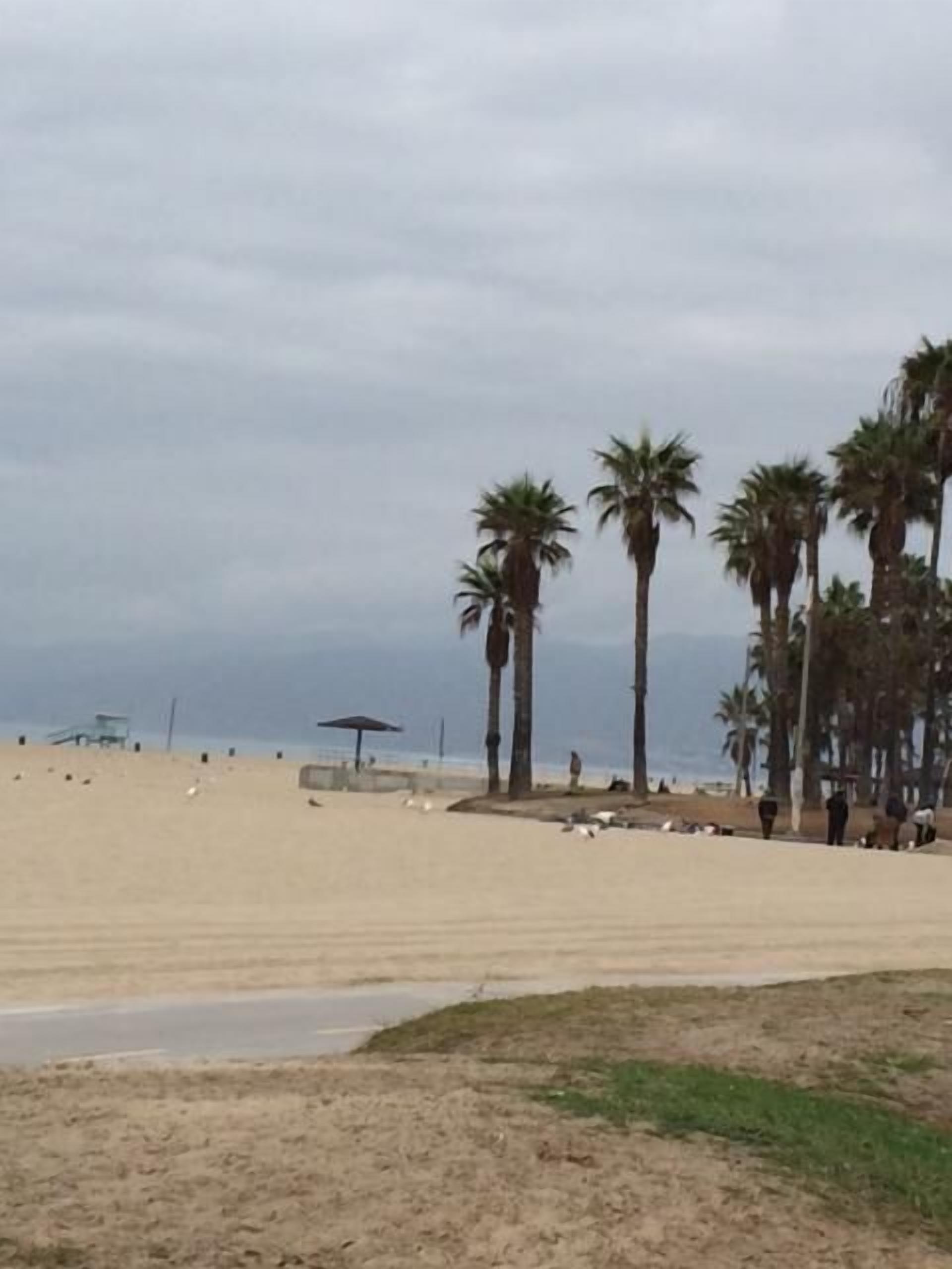 Venice Beach Ocean View Studio steps from the sand with a parking spot!!
