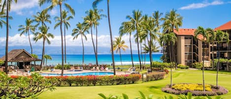 A resort with a swimming pool, palm trees, and a view of the ocean.