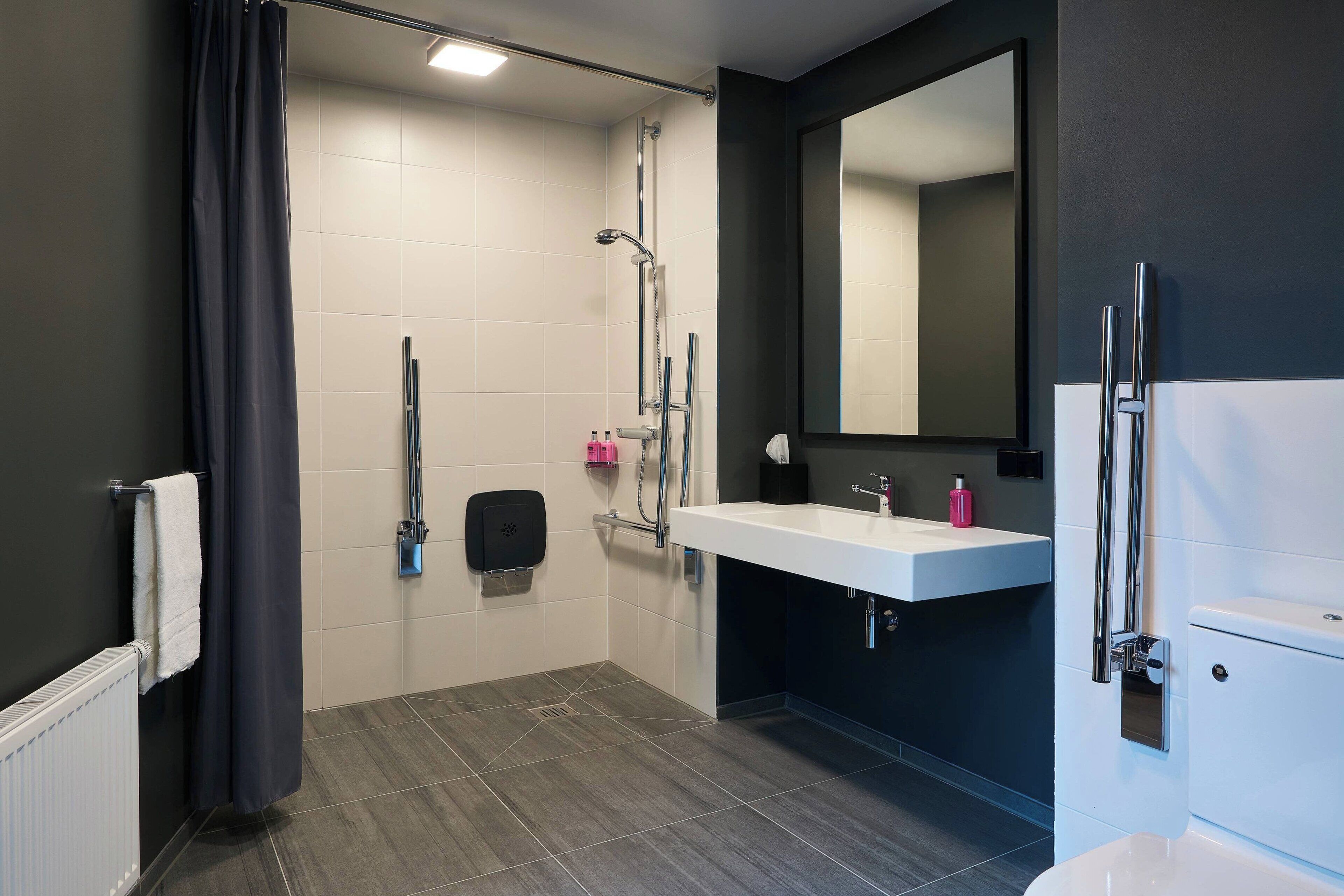 family room, 1 queen bed with sofa bed, non smoking | bathroom | shower, free toiletries, hair dryer