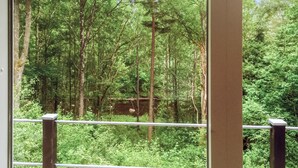 A view through a window with metal bars, displaying a dense forest with tall trees and a visible bridge in the background.