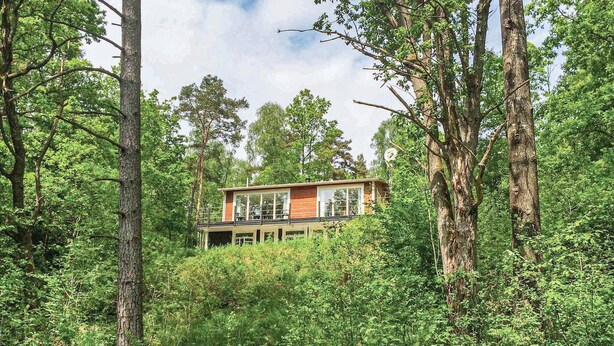 A modern house surrounded by dense forest.