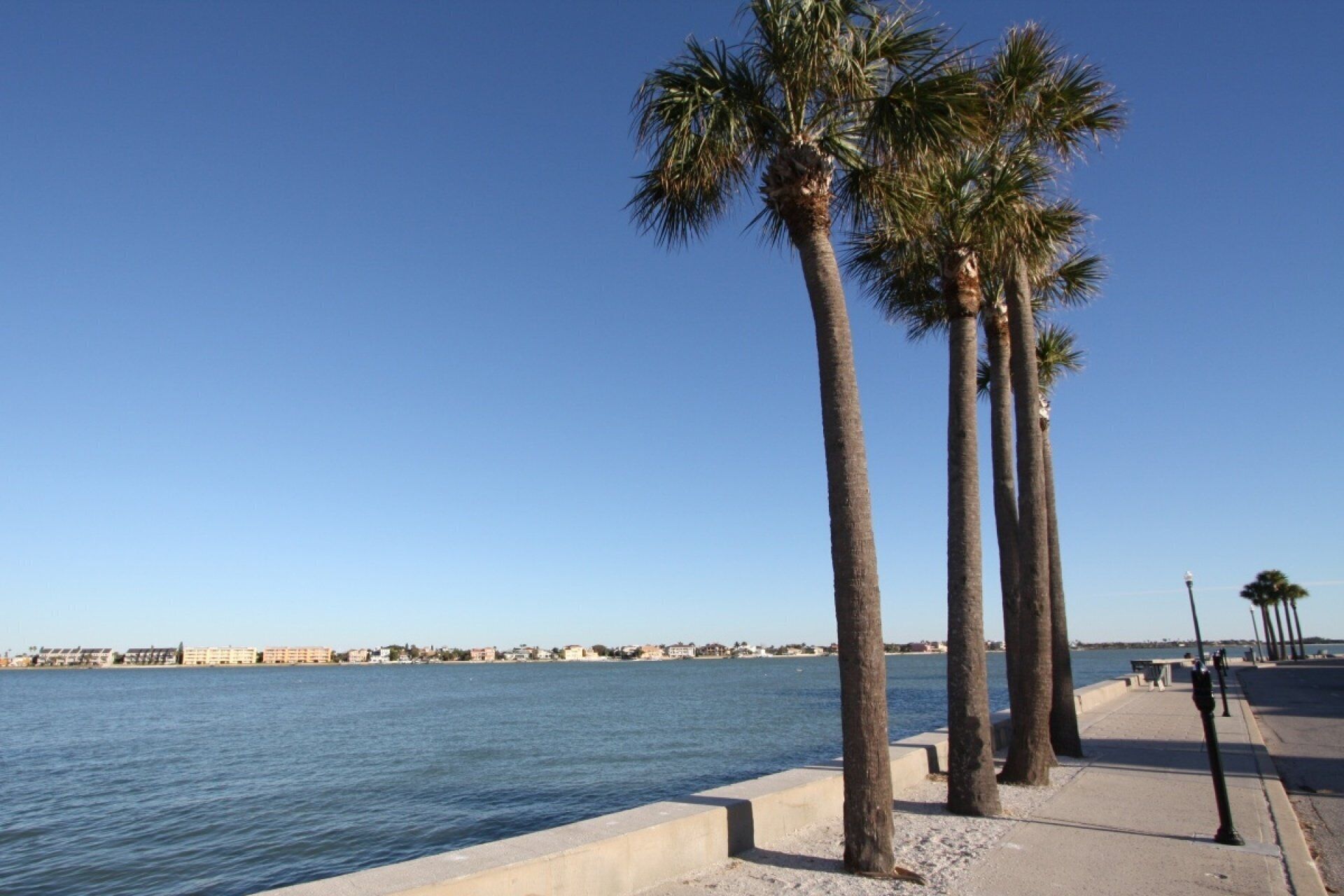 Paseo marítimo con palmeras y un cielo azul despejado.