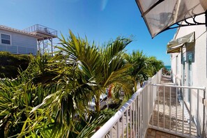 Property grounds - Walk to The Best Restaurants, Beaches, and Activities. Heated Pool. Fabulous Location. (St. Pete Beach)