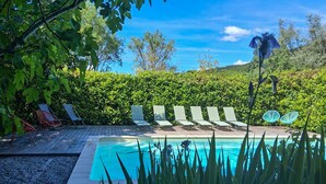 Una piscina rettangolare con lettini da relax e un siepe sullo sfondo.
