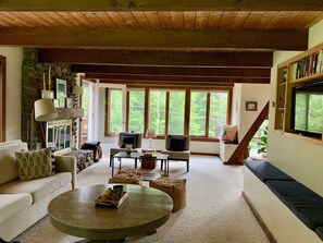 TV, caminetto, libri, biblioteca musicale