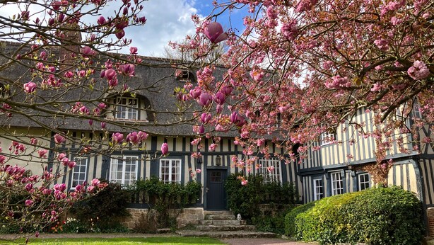 Ein traditionelles Haus im Tudor-Stil mit einem Reetdach, umgeben von einem gepflegten Garten und blühenden Bäumen.