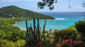 بالقرب من الشاطئ