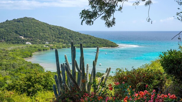 Un paysage côtier offrant une vue dégagée sur la mer, une plage de sable et une colline couverte de végétation.