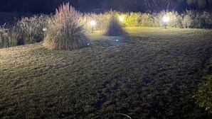 A frosty field with three illuminated lights in the distance, surrounded by trees and vegetation.